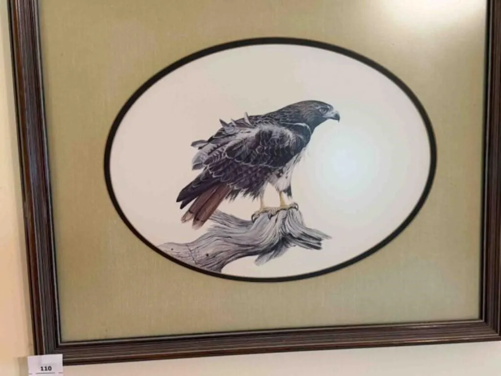 4-bird pictures with frames assorted sizes