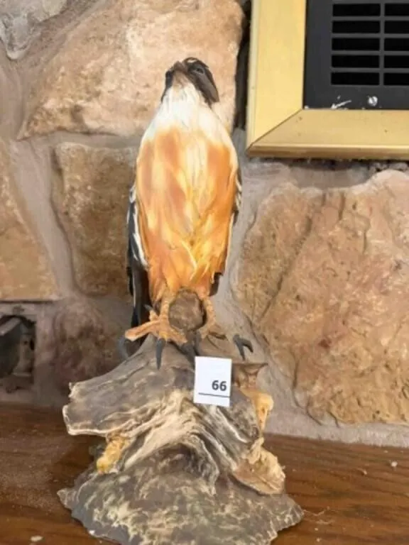 Porcelin Hawk Statue; 12" tall