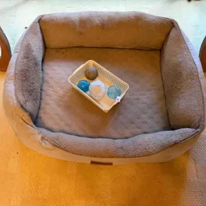 used dog bed