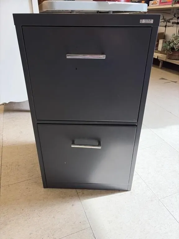 Cole 2 Drawer Filing Cabinet