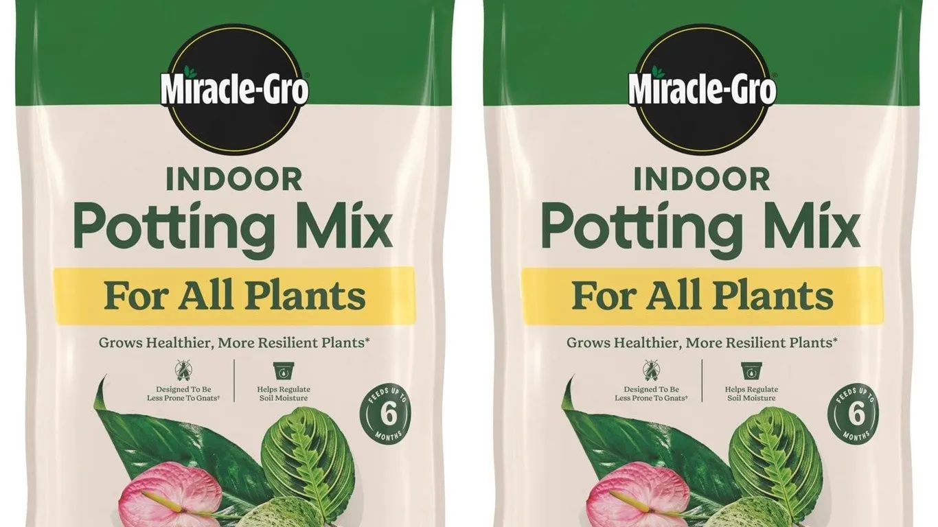 Miracle-Gro Indoor Potting Mix 6 qt. 2-Pack