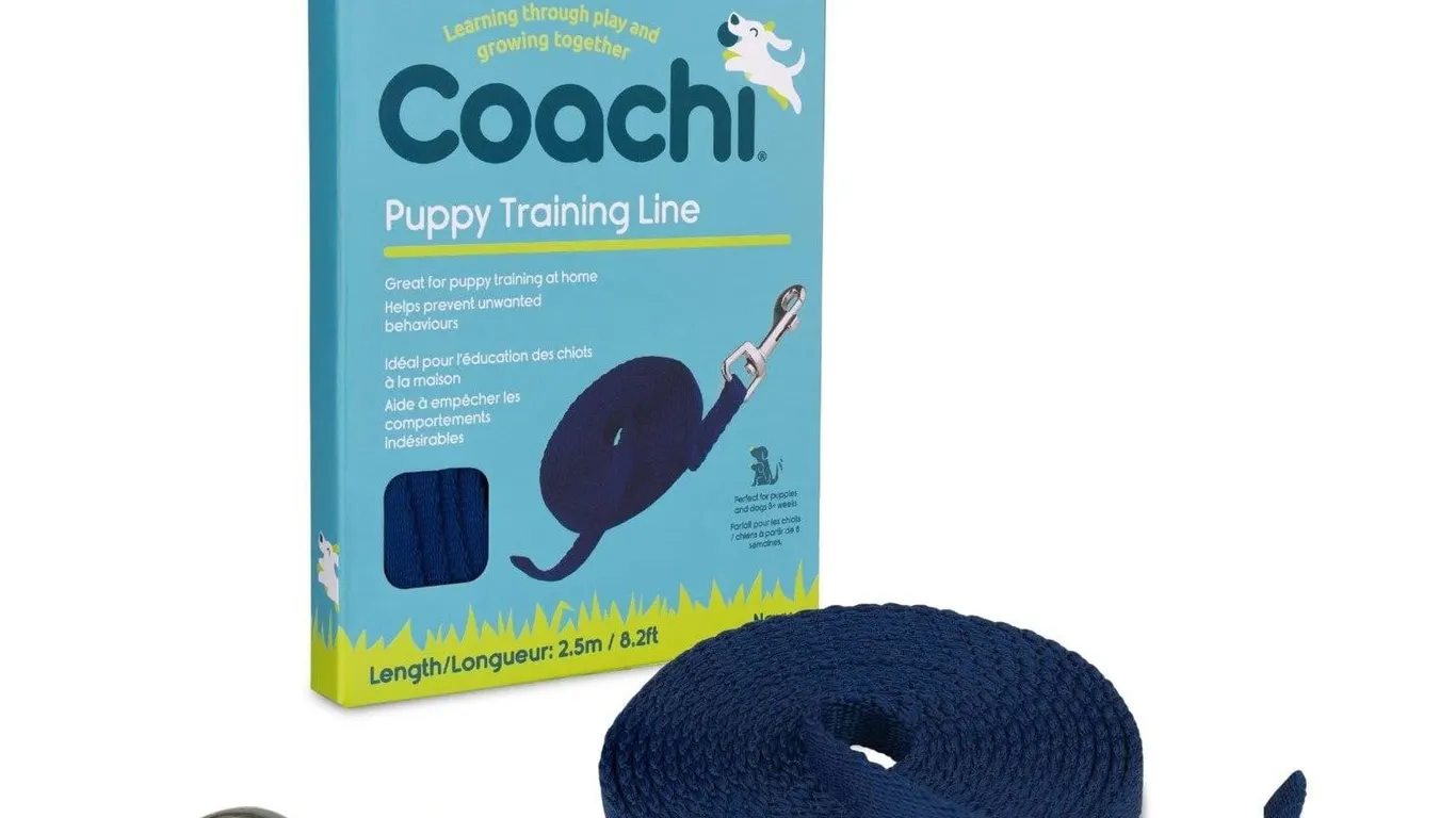 Coachi Puppy Training Line 2.5m Navy