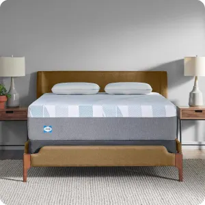 Sealy Dreamlife 14 Foam Mattress Queen
