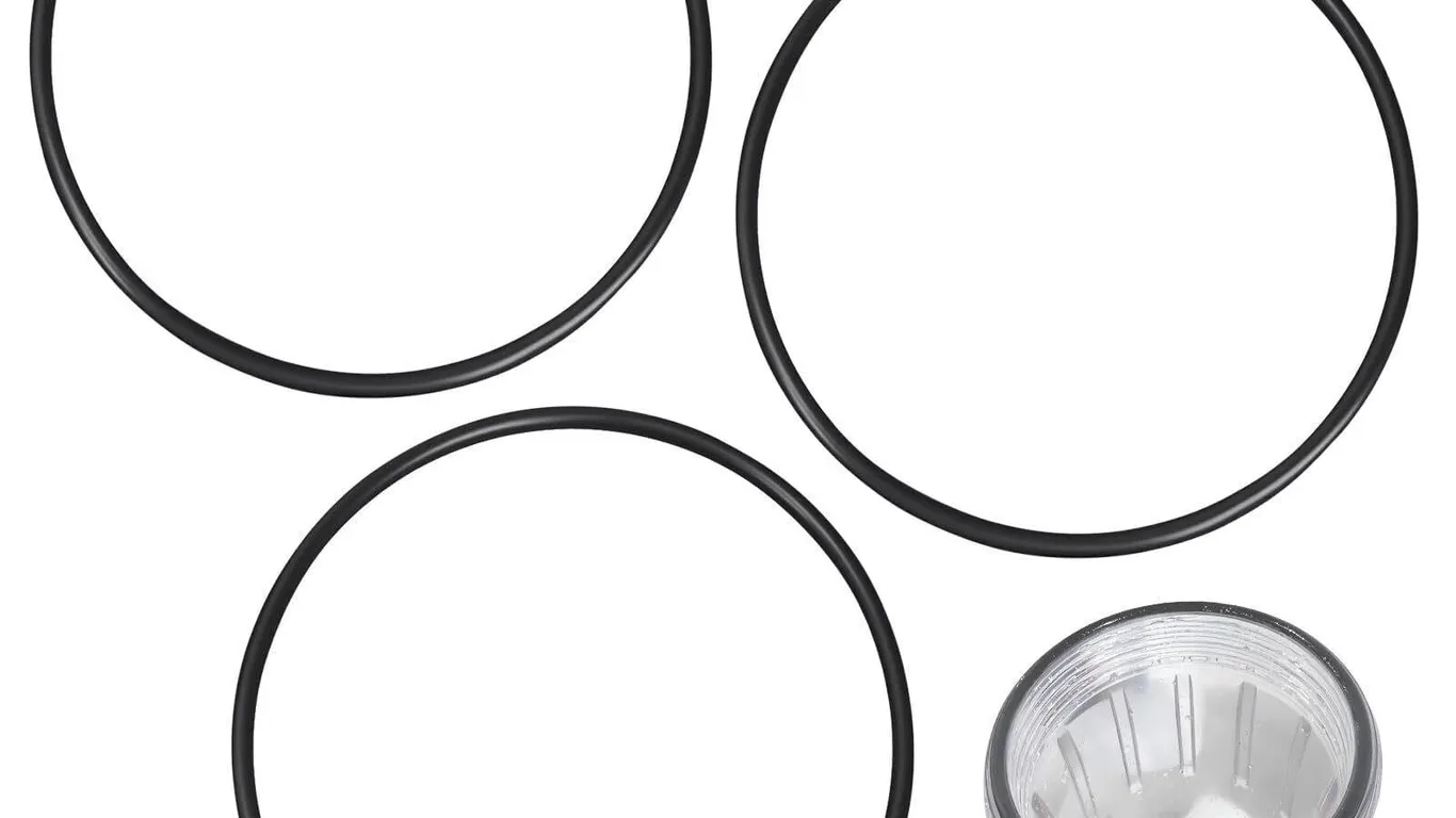 Dairrr Fuuu 5.48 O-Ring for AO Smith Filter 3-Pk