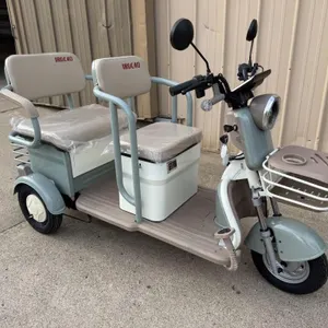 ASSEMBLED SDLANCH 2026 IRGC40 Electric Cart