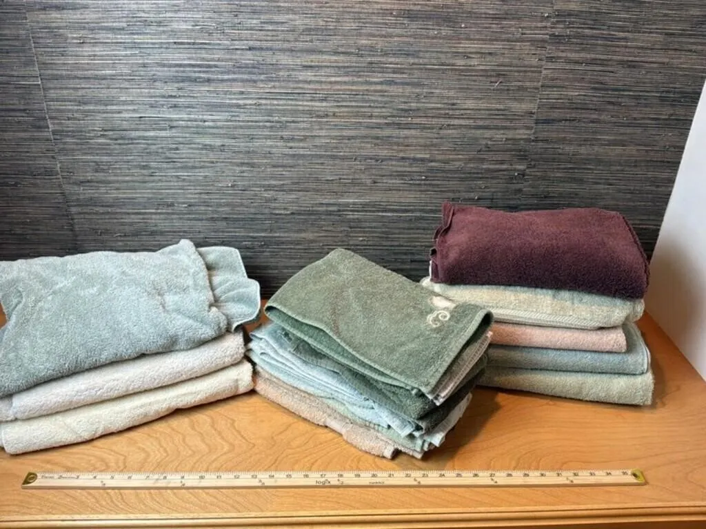 Assorted Terry Cloth Bath Towels