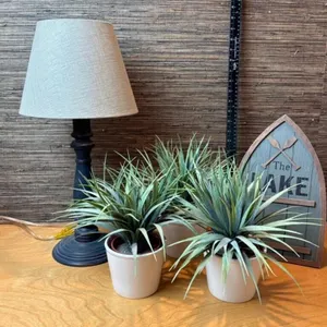 Decorative Lamp, Plants & Lake Sign (4pc)