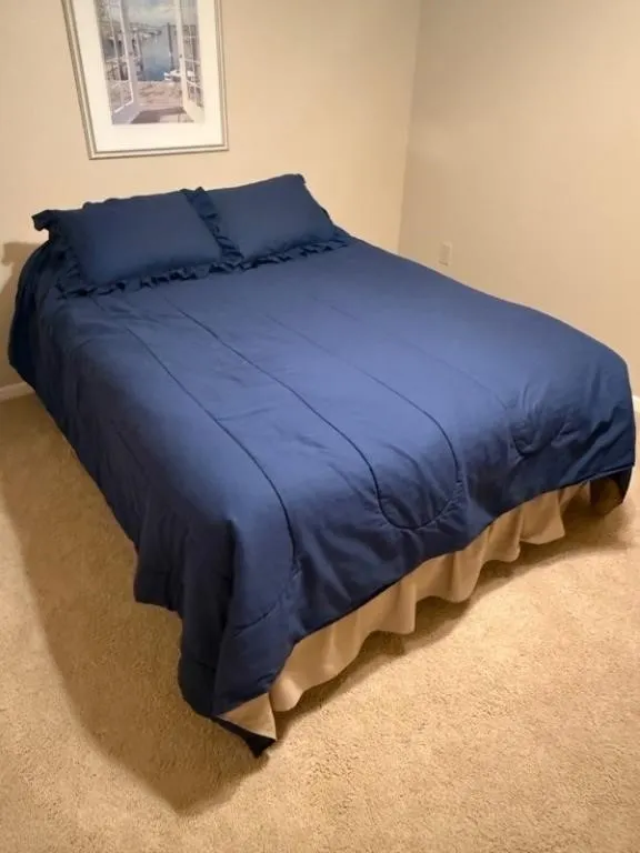 Queen-Size Blue Bedding Set w/ 2 Pillows