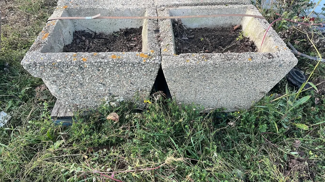 OFFSITE - 2 concrete planters, 21.5”x21.5”x16” high. In good condition