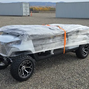 Off-Road Golf Cart Unused  2026  SDLOOL  SL-GC42S  Golf Cart