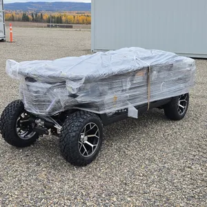 Off-Road Golf Cart Unused  2026  SDLOOL  SL-GC42S  Golf Cart