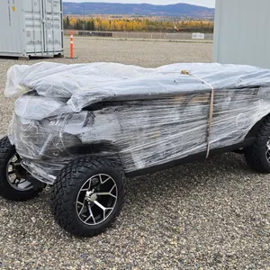 Off-Road Golf Cart Unused  2026  SDLOOL  SL-GC42S  Golf Cart