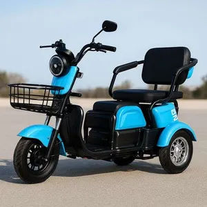 Electric Tricycle Unused  2026  SDLOOL  SL-D3  Trike