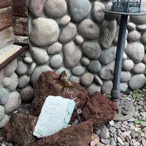 Meadow Birdbath with Metal Pedestal, Lava Rock Stones, and Garden Plaque