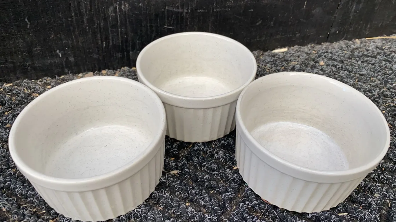 3 Oven Proof Stoneware Ramekins Made in Japan