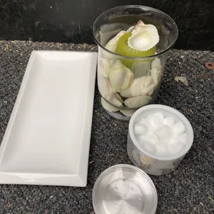 Decor Set: Stokes Porcelain Tray, Glass Vase with Shells, Decorative Canister