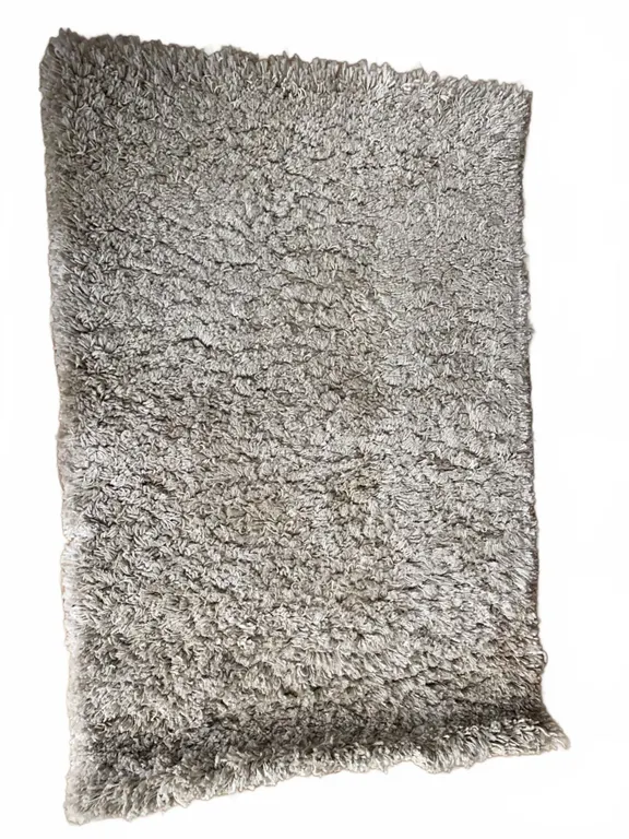 Home Decorators Collection Deluxe Shag Area Rug 2 ft x 4 ft Polypropylene