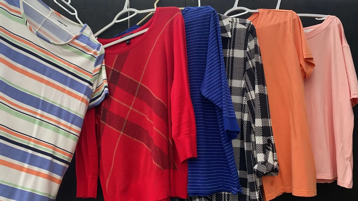 Women's Clothing, Various Brands, Sizes L-XL, Assorted Tops and Pants