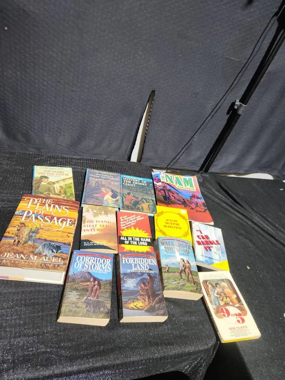 Fiction And Nonfiction Books Including Hardy Boys And 'Nam Magazine