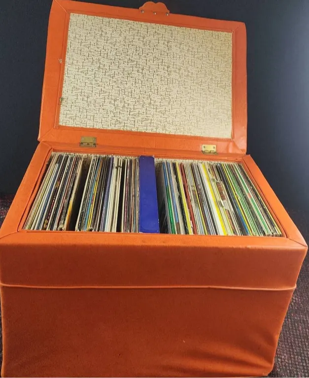 Vinyl Records in Orange Storage Case