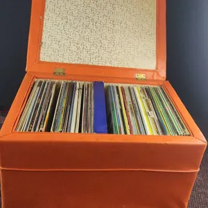 Vinyl Records in Orange Storage Case