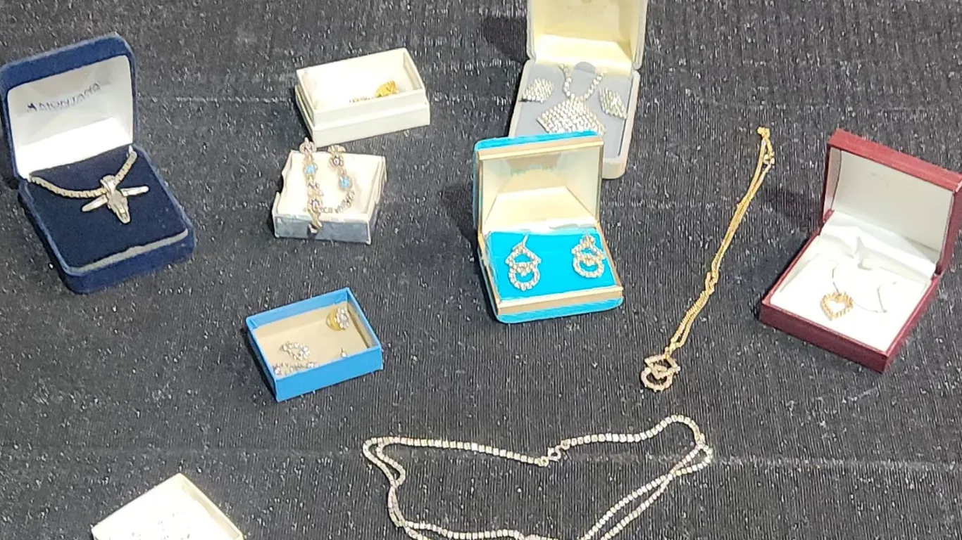 Jewelry Lot with Necklaces, Earrings and Pendants in Boxes