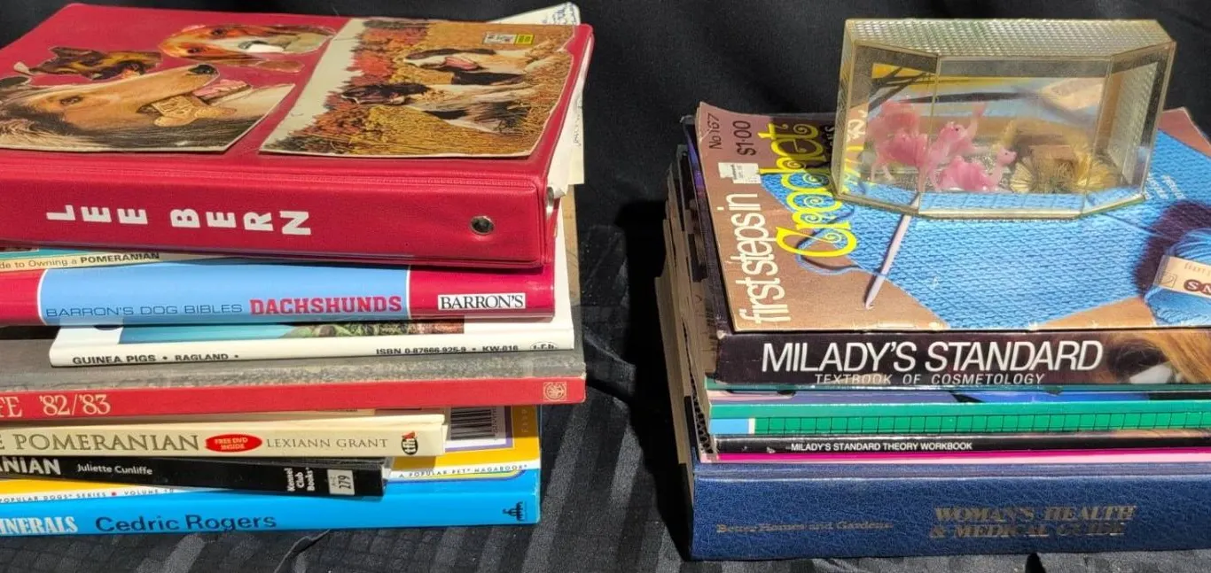 Books and Vintage Miniature Camel Diorama