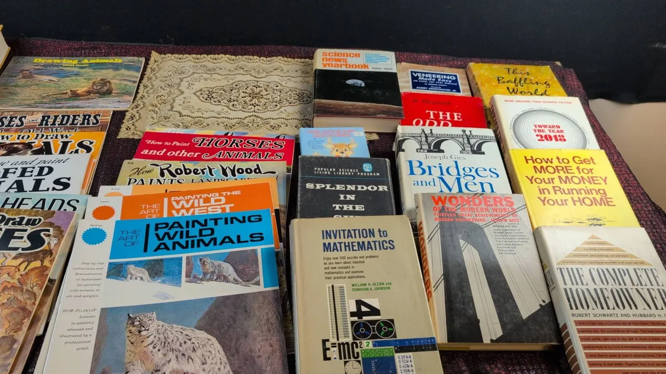 Book Lot: Art, Mathematics, Finance, and Variety Subjects