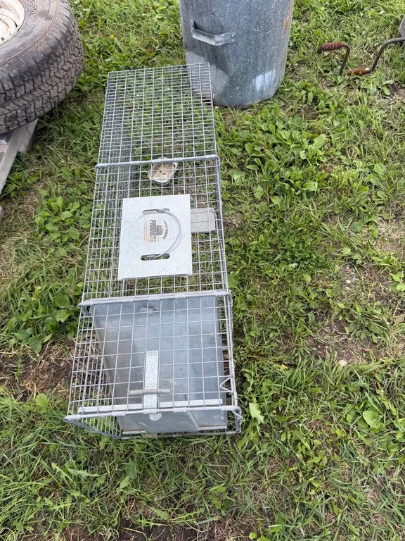 live animal trap (GST 5 % charged)