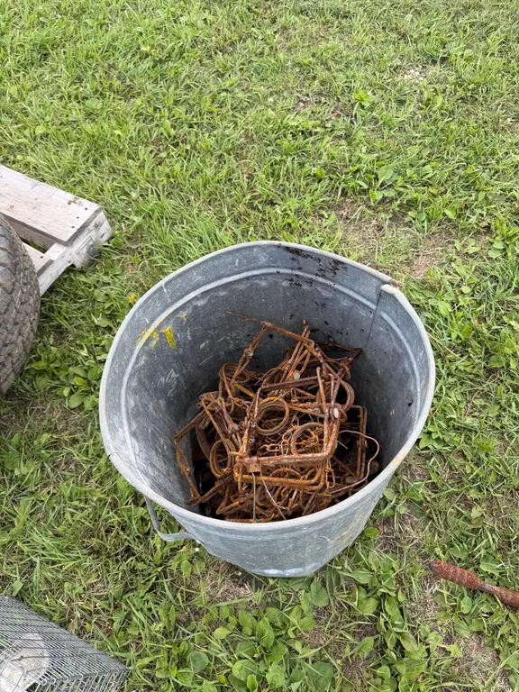 Bucket of traps (GST 5 % charged)