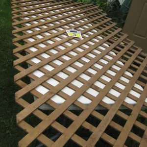 Lattice