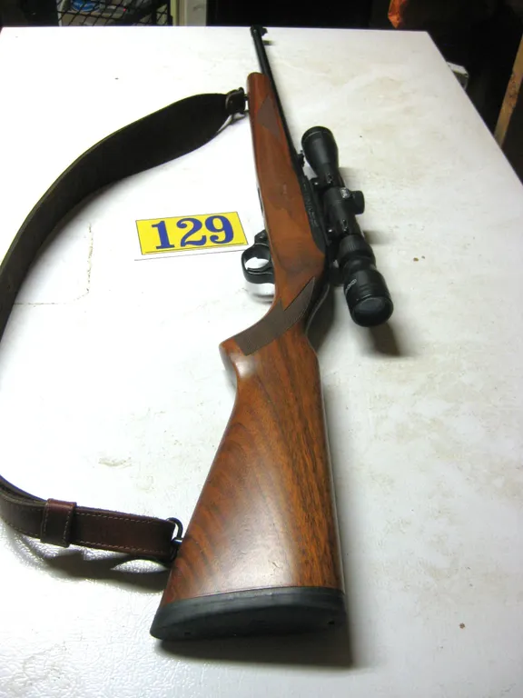 Ruger Semi Auto 22
