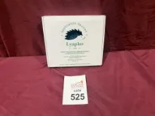 LYAPKO APPLICATION DEVICE WELLNESS MAT