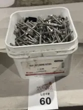 BUCKET OF HEX-HEAD LAG SCREWS