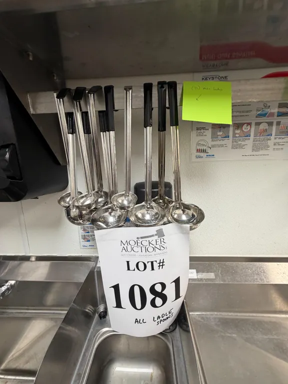 LOT CONSISTING OF (11) LADLE SPOONS