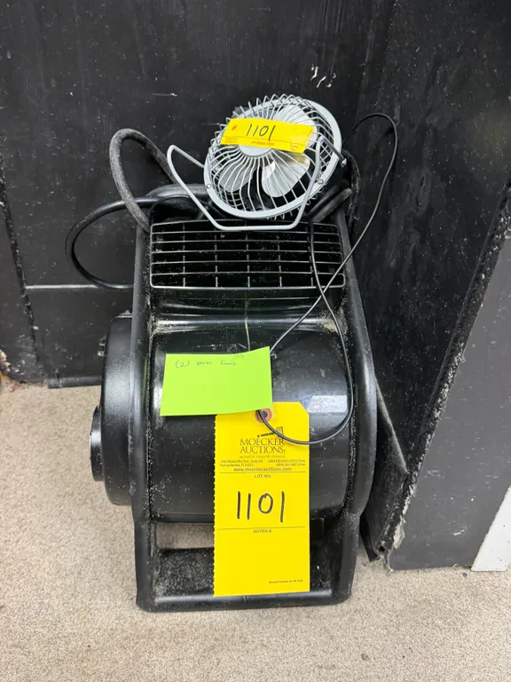 ASSORTED FANS