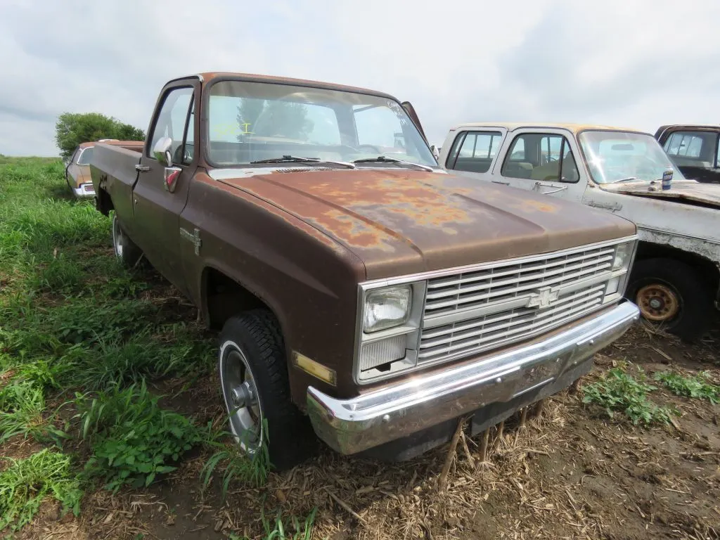 1983 Chevrolet Custom Deluxe 1/2 ton Pickup
