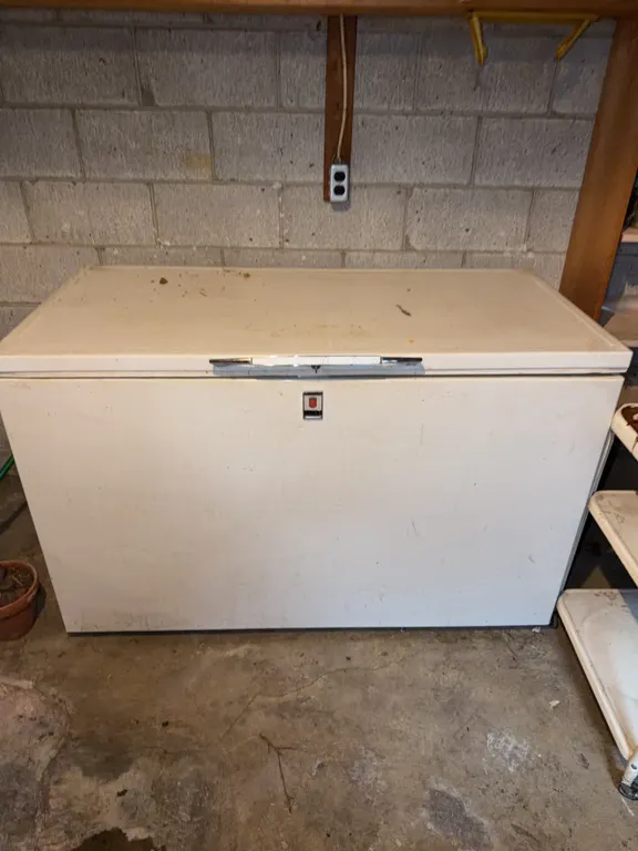 Chest Freezer IN BASEMENT