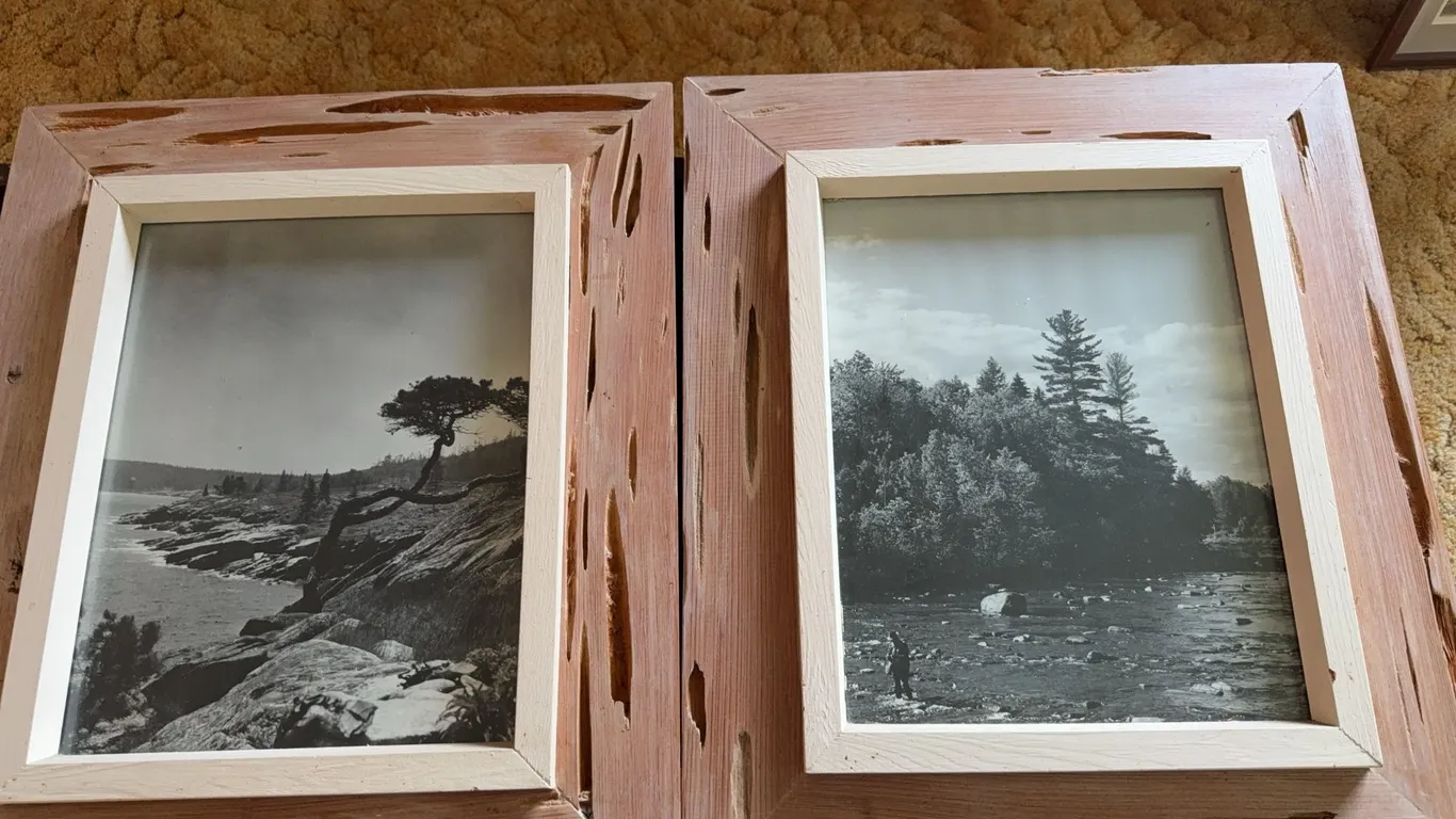 Pair of photographs