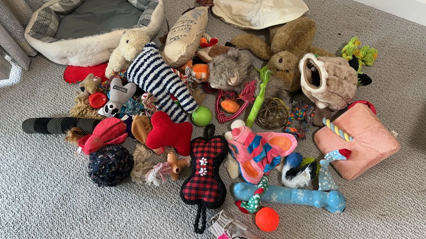 Large Lot of Dog Toys and Pet Beds
