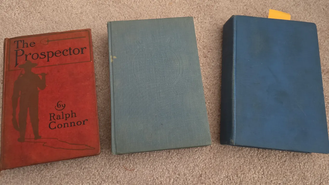 Set of 3 Vintage Novels - Connor, Mason, Schulberg