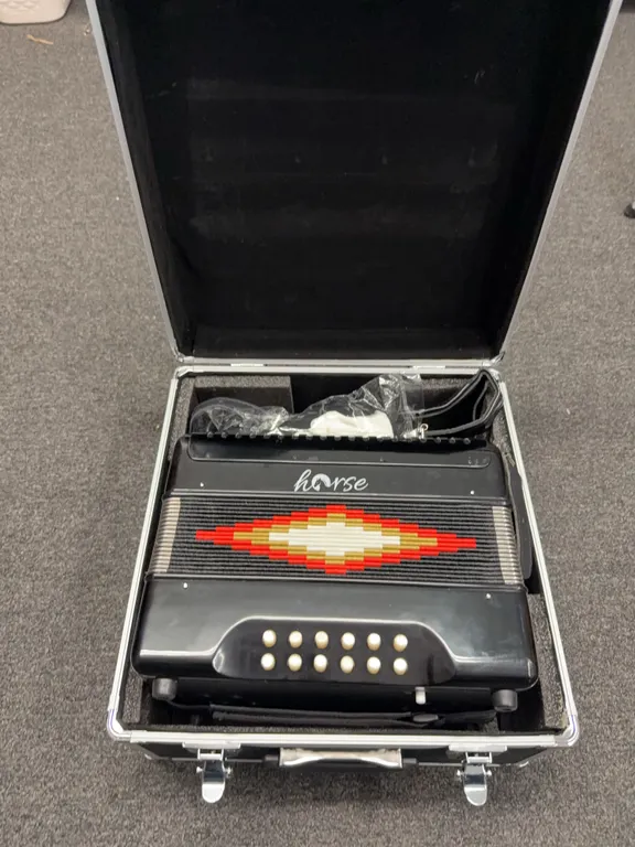 Horse accordion in travel case