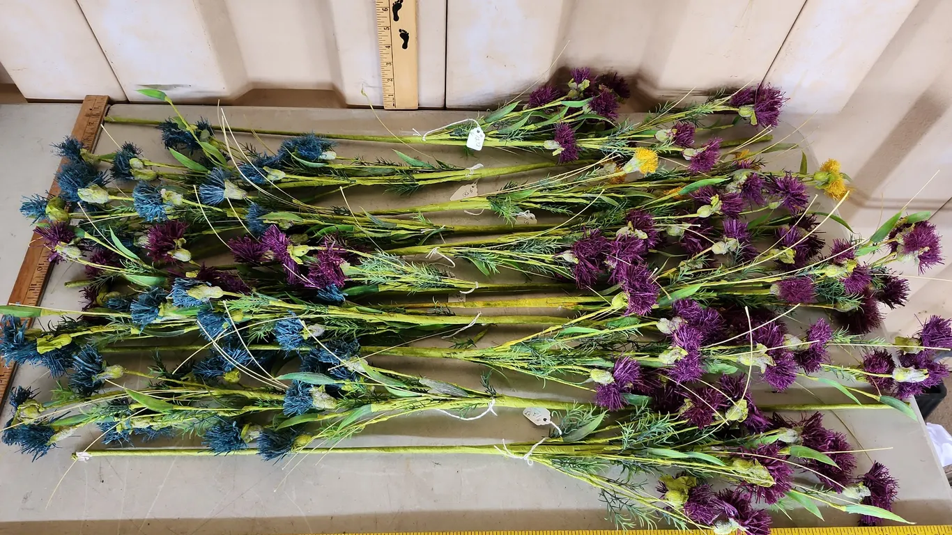 11 Pc Artificial Eryngium Stems 32" Long