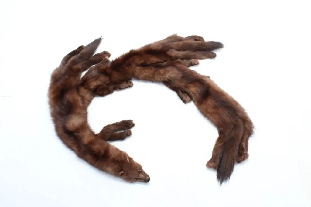 FISHER FUR SHAWL BY GUNTHER JAECKEL FURRIER N.Y.C.