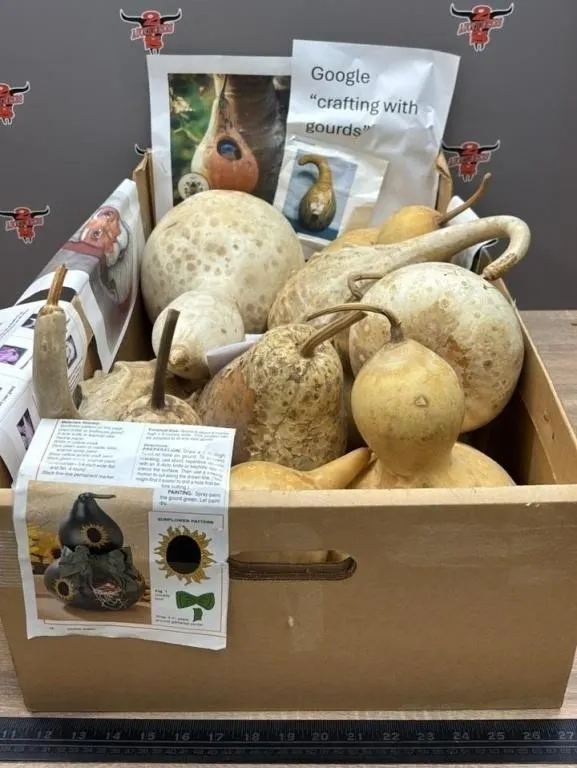 Box of Gourds. Great for Decorating/Crafting.