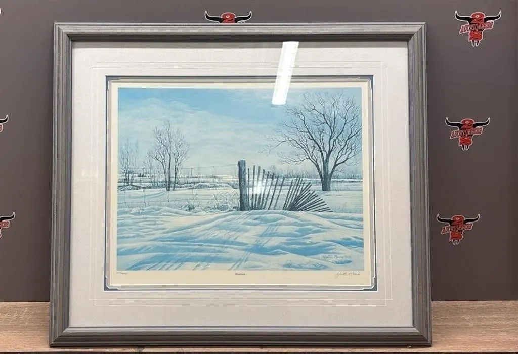 Shadows Framed Print by Yvette Moore 24.5�Wx21�H.