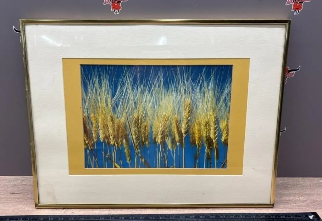 Framed Wheat Picture 24.5�Wx18.5�H. *Water Damage