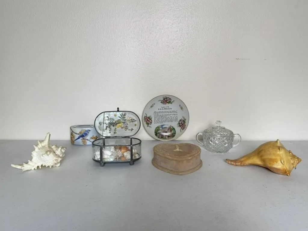Seashells & Trinket Boxes