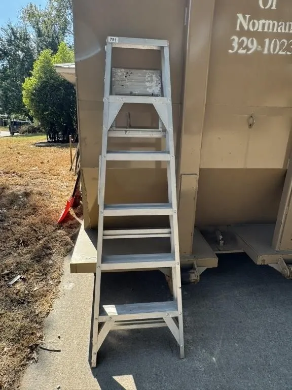 6 Ft Aluminum Step Ladder
