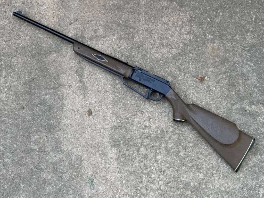 Daisy BB Gun